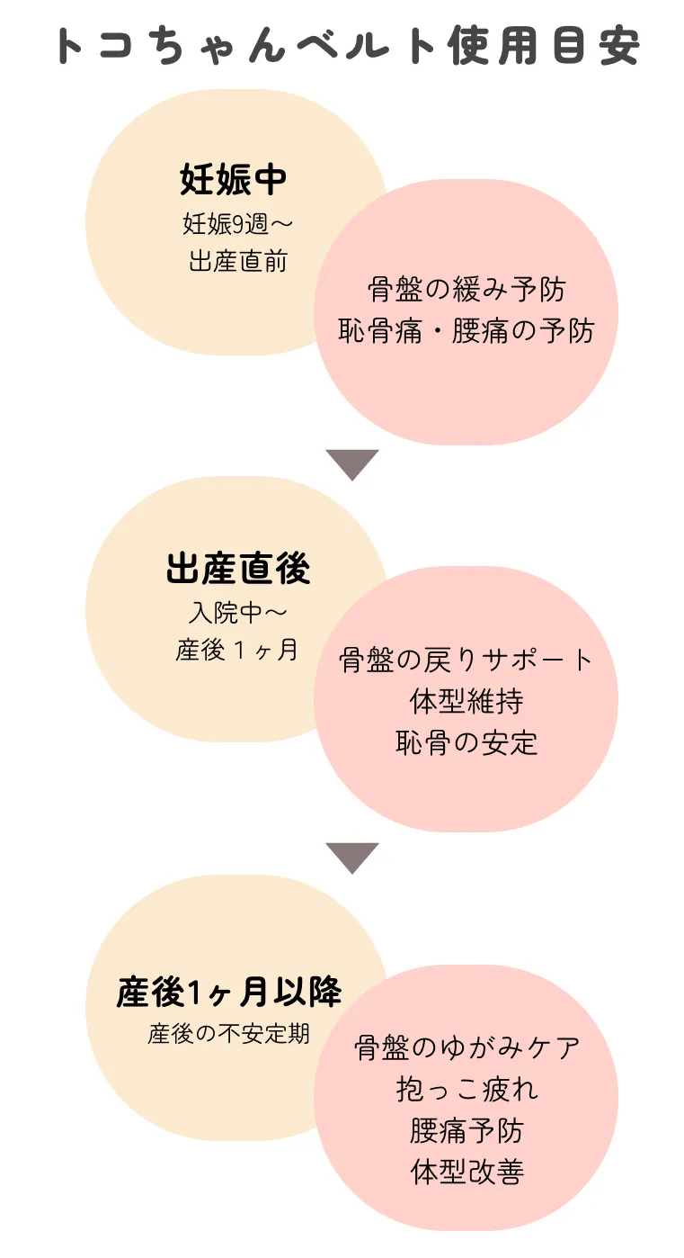 妊娠中から産後までのトコちゃんベルト使用目安とサポート効果の図解