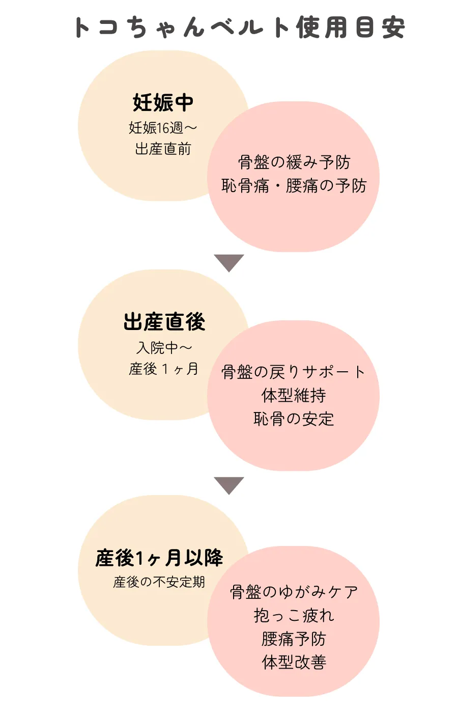 妊娠中から産後までのトコちゃんベルト使用目安とサポート効果の図解
