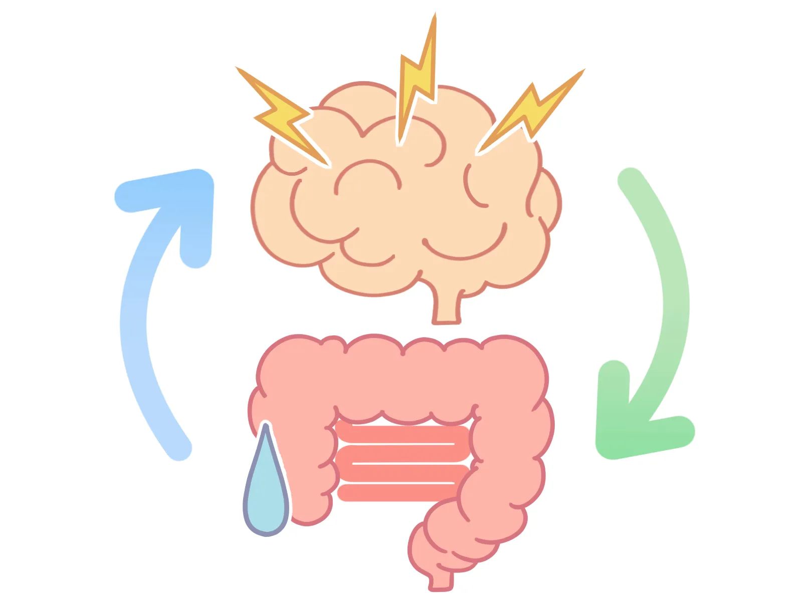 ストレスが脳に影響し、腸が過敏になる様子を表した図(脳腸相関)